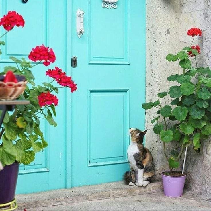 #صورة_ملف_شخصي_جديدة