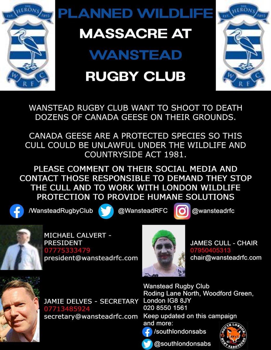 jaynees clublander tweet media