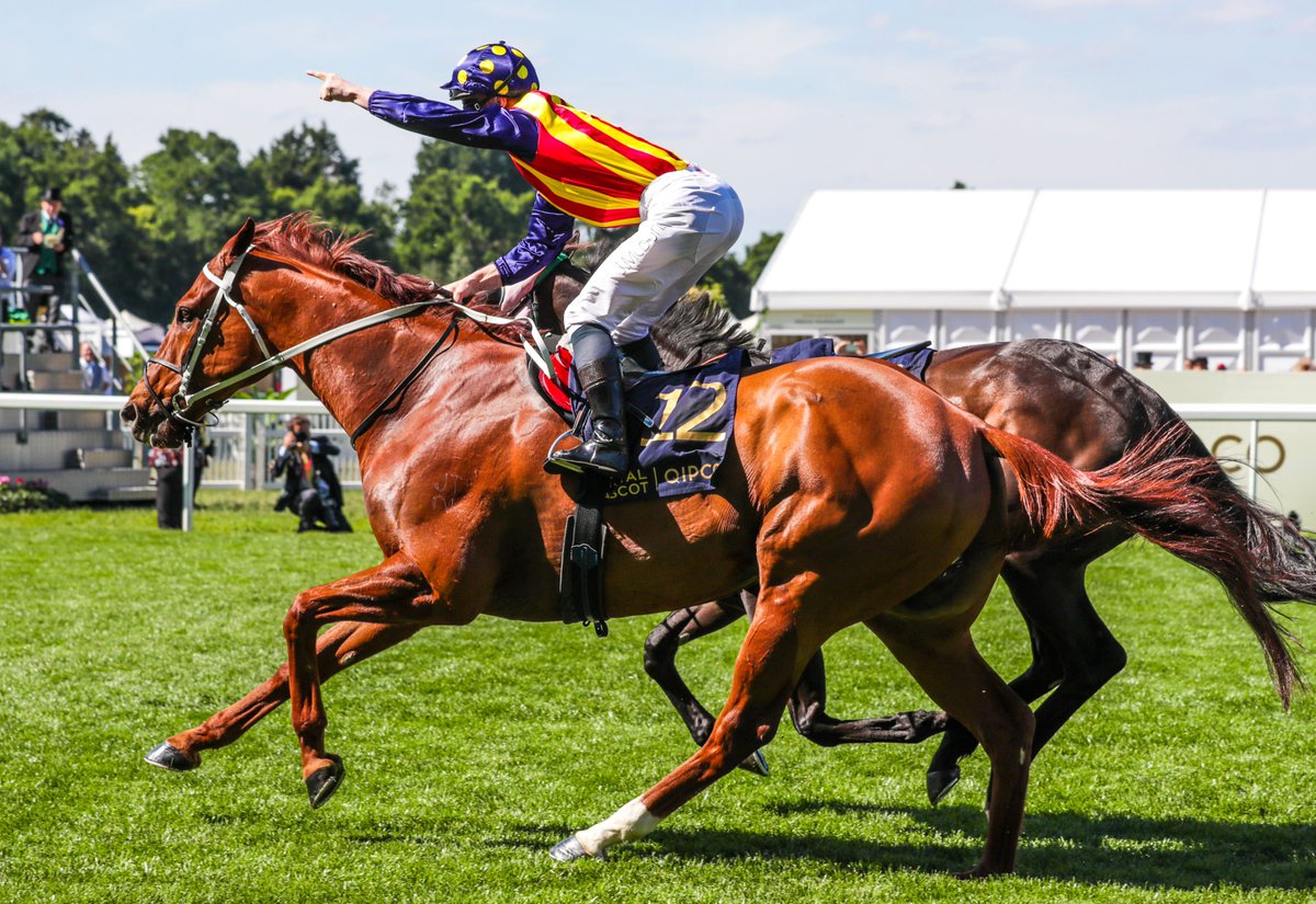 WorldPool's tweet image. 𝑵𝑰𝑵𝑬 @WorldPool races confirmed @FlemingtonVRC:

⭕️ Australian Childhood Foundation Trophy
🏆 G3 The Vanity
🏆 Lis Talindert
⭕️ Asian Racing Federation Trophy
🏆 G3 Tony Bourke Memorial
🏆 G3 CS Hayes
⚡️ G1 Black Caviar Lightning
🏆 Lis @HKJC_Racing Elms Hcp
⭕️ @WorldPool Hcp