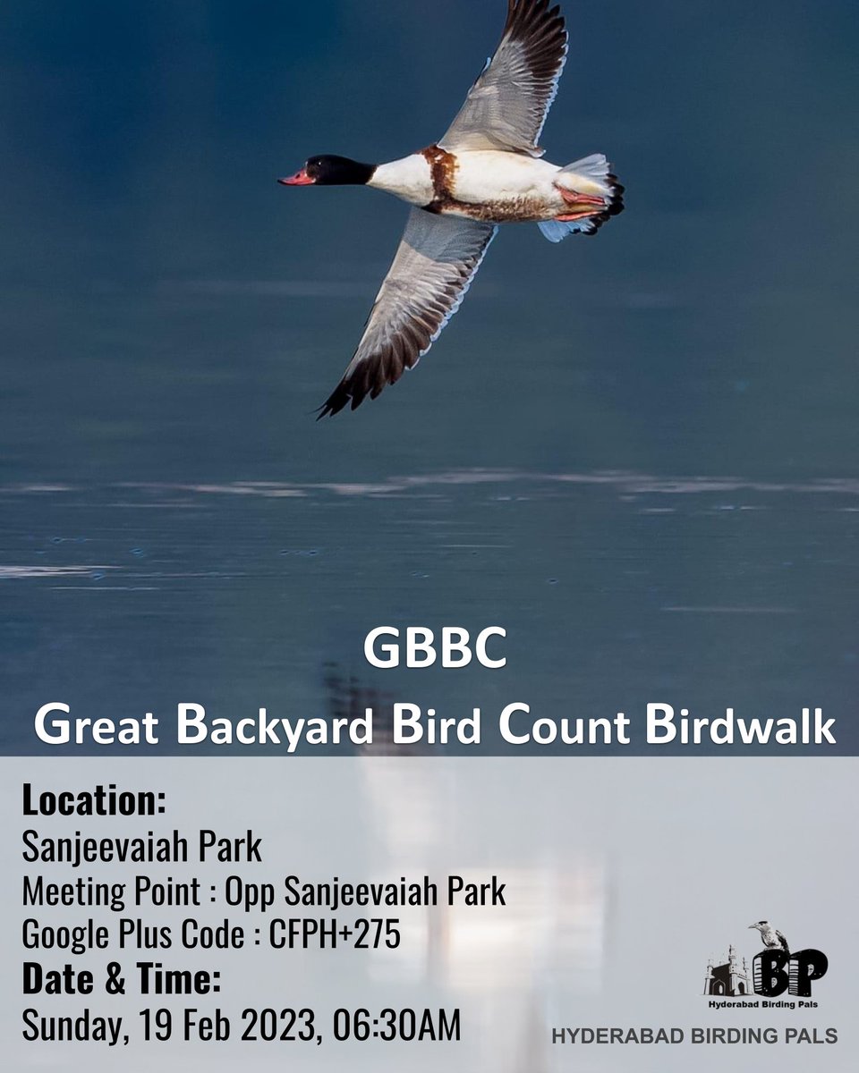GBBC2023 at #SanjeevaiahPark
#HBPGBBC
#GBBC
#Sanjeevaiahparkbirdwalk
#GBBCBirdwalk
#telanganabirdinghotspots
#HBPBirdwalk
#sundaybirdwalks
#birding
#birdinghobby
#hyderabadbirdingpals
#birdwalks
#birdwatchers
#birdwatchinghobby
#birdwatching
#greatbackyardbirdcount 
#birdcount