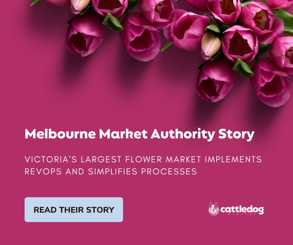 If you are in Victoria, the Valentine's Day flowers 💐  sitting on your counter are likely from Melbourne Market Authority.

Read their #DigitalTransformation story: cattledogdigital.io/melbourne-mark…