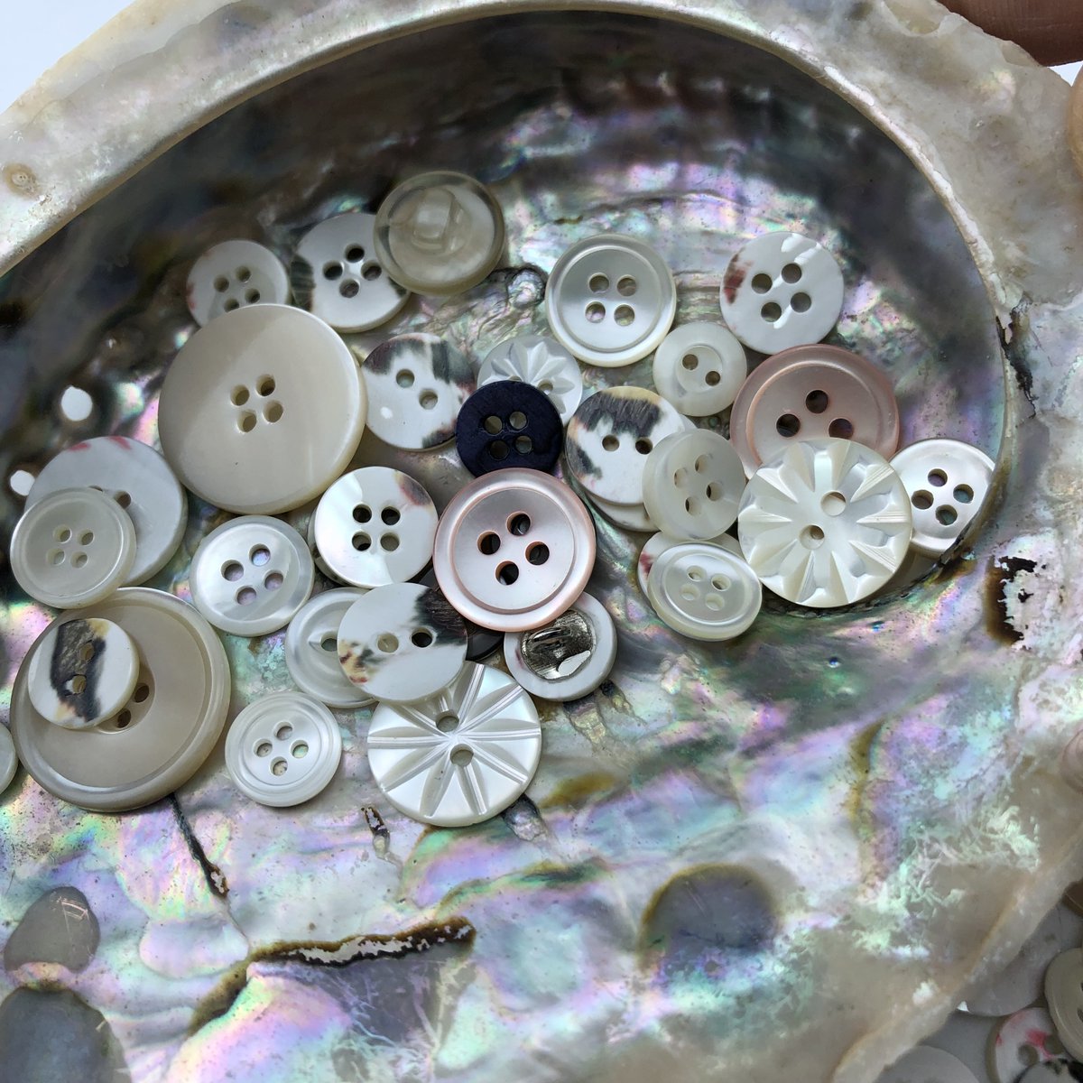 JIANUOACC's tweet image. 天然贝壳制品 #Naturalshellproducts #Shellbuttons