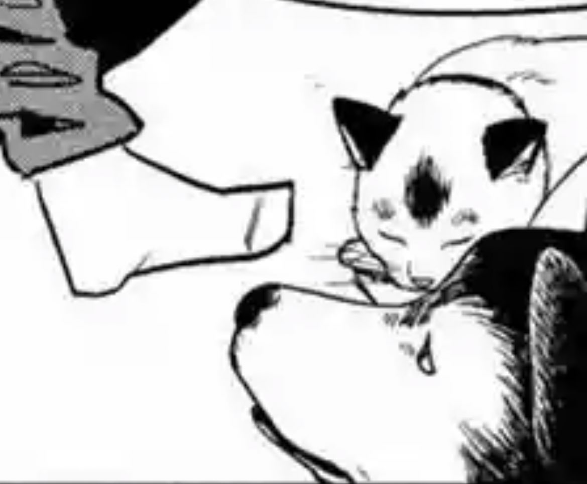 DeltyThe73rd's tweet photo. MEOWY SPOTTED

#csm120 https://t.co/R2o8CNJ7n8