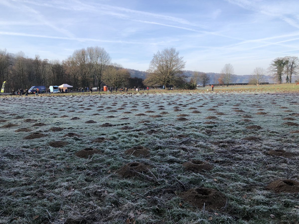 COostwegel's tweet photo. Uitbreiding natuurgebied #Ingendael @Sint_Gerlach met 6ha en 4000 bomen #Boomplantdag @Limb_Landschap @Natuurkrachtorg #biodiversiteit #natuurontwikkeling https://t.co/TGNsqQot2D