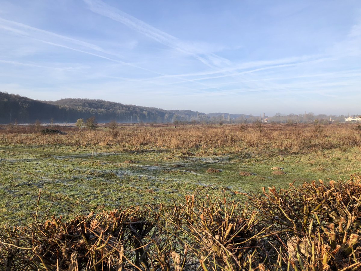 COostwegel's tweet photo. Uitbreiding natuurgebied #Ingendael @Sint_Gerlach met 6ha en 4000 bomen #Boomplantdag @Limb_Landschap @Natuurkrachtorg #biodiversiteit #natuurontwikkeling https://t.co/TGNsqQot2D