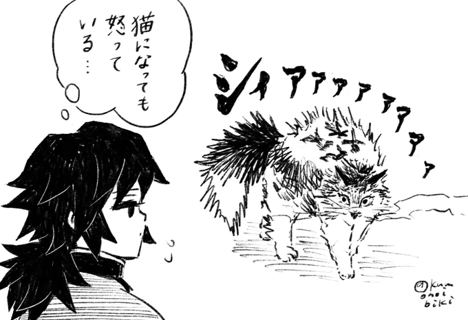 ねこの日も近い https://t.co/8ITAp0EEsi