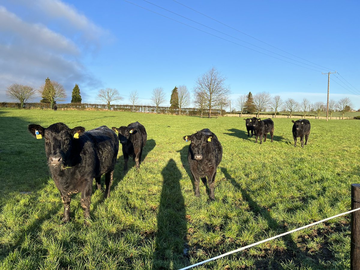 Pat Quirke tweet media