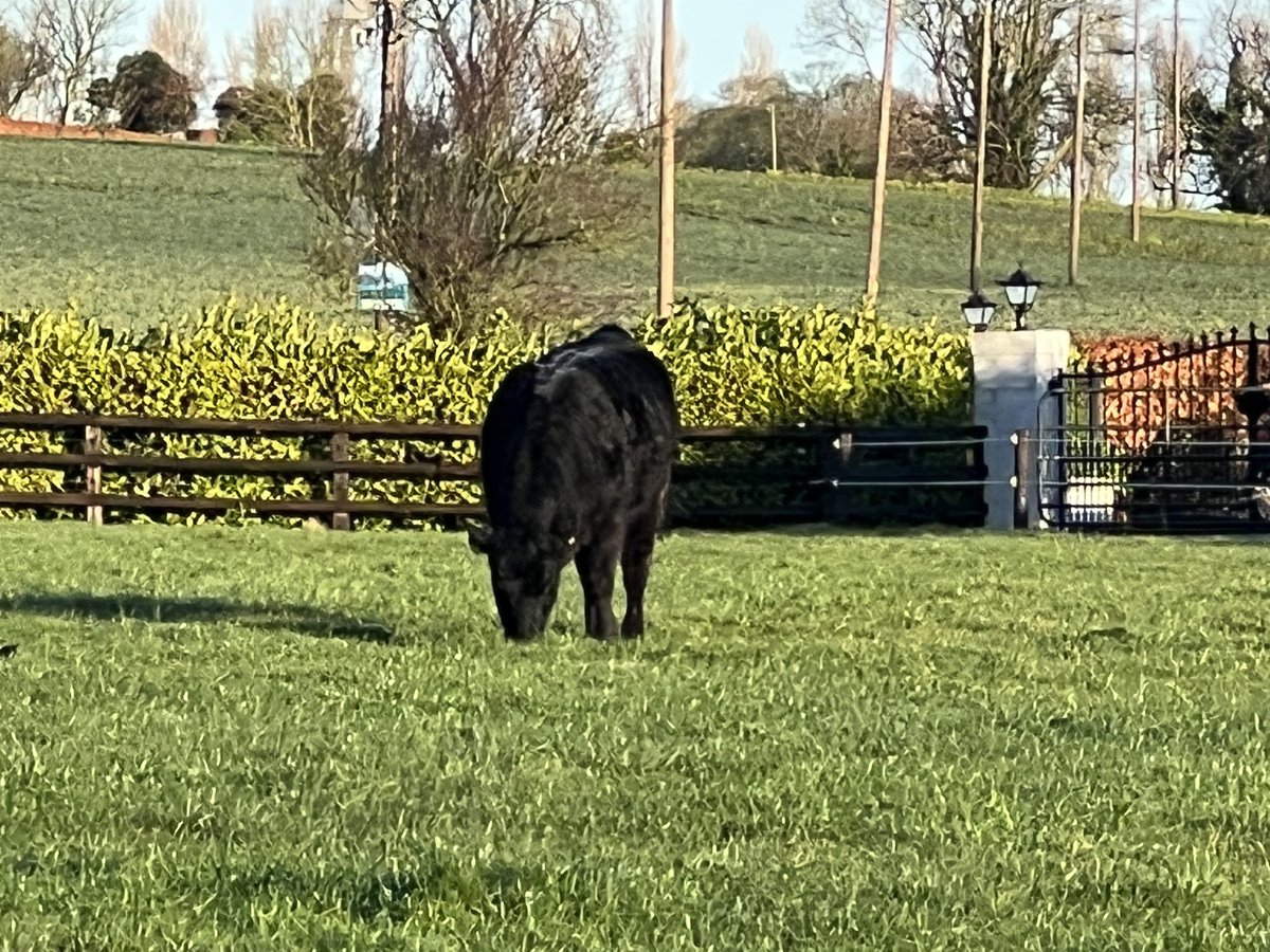 Pat Quirke tweet media