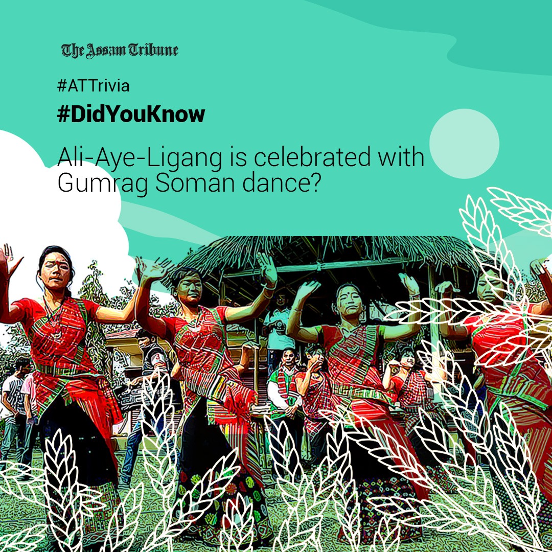 assamtribuneoff's tweet photo. (2/2)
The festival is marked by a grand community feast consisting of 'puran apin' or rice with the wrapping of distinctive leaves, 'apong' or rice beer, fish, pork, roasted chicken and many other traditional food items.
#TheAssamTribune #AliAyeLigang #ATTrivia https://t.co/c7kjCCFHkm