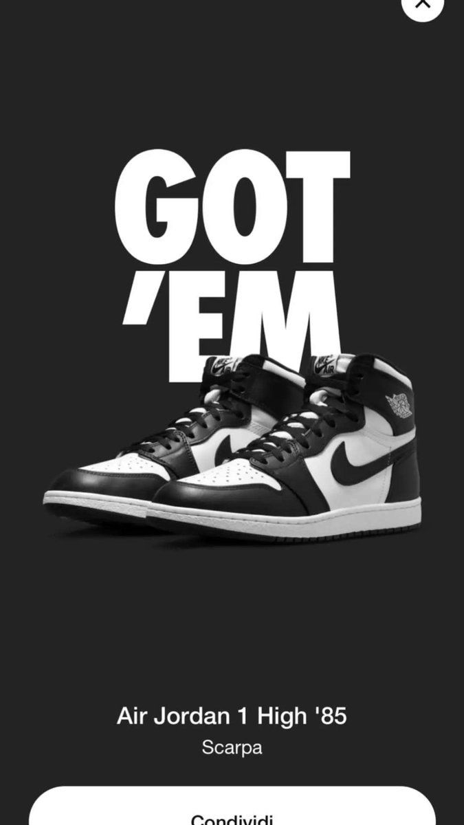 Success posted in Ninja Monitors | joey tagliabue