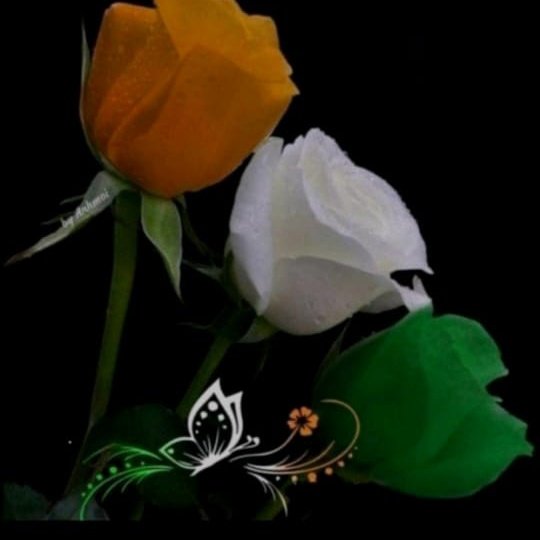 java_dev111's tweet image. #NewProfilePic
