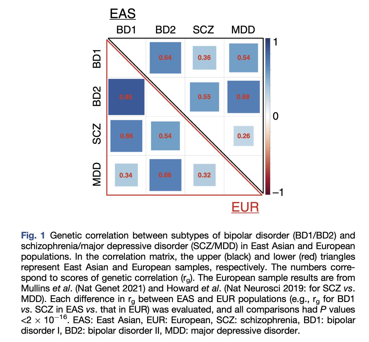 PCN_Psychiatry's tweet photo. Differential genetic correlations across major psychiatric disorders between Eastern and Western countries
https://t.co/7KokajX3RW
#psychiatric_disorders #Schizophrenia #depression #bipolardisorder #bipolardisorder1 #bipolardisorder2 #MDD #genetic_risk #genetic_correlations https://t.co/tkkc3Ox8n0