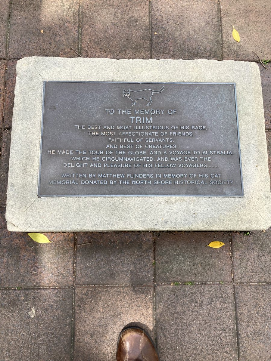 Hurf41's tweet photo. @TheRestHistory Inspired by @holland_tom, I did a City of Sydney walk at lunch and stopped by Matthew Flinders' statute at the NSW State Library. And more importantly the statute of Matthew Flinders' cat Trim https://t.co/JzAzGHamkJ