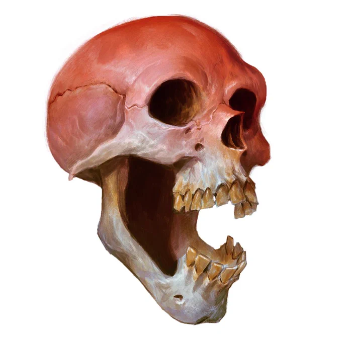 just paintin skulls 