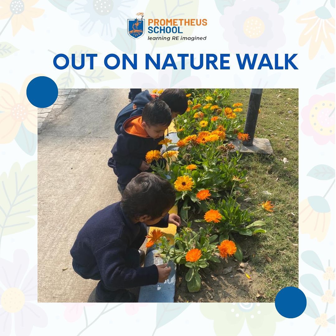 Prometheus_Edu's tweet photo. Our little ones celebrated the arrival of the spring season bubbling with excitement! Students went out for a nature walk where they enjoyed nature.
#prenursery
#SpringSeason #FreshBlooms #NatureWalk #LearningatLigo #montessorieducation #reggio #LIGO #prometheusschool https://t.co/UClE7HB08z