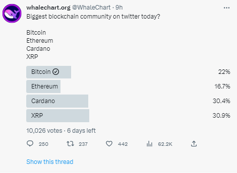 Bitcrash tweet media