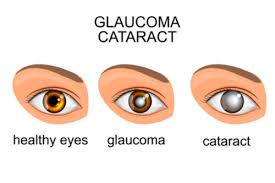 jhmr_journal's tweet photo. Epidemiology and long-term outcomes of primary congenital glaucoma: a population-based study
https://t.co/l84tWxrT6o
#Health #Medical #Reseach #IssureRelease2023
@GutMicrobiotaWW @MoHFW_INDI @Healthjour
Visit- https://t.co/WuQzaB28Ck https://t.co/Rg3GkwVKCg
