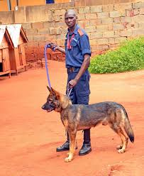 RMwanjuzi's tweet image. Did you know that @arrowsecurityco has grown to become the leading private security organization. Be rest assured that you are in the hands of professionals.
In need of their services, call 🤙+256393 254 451
#Arrowsecurity.
@Mukulaa