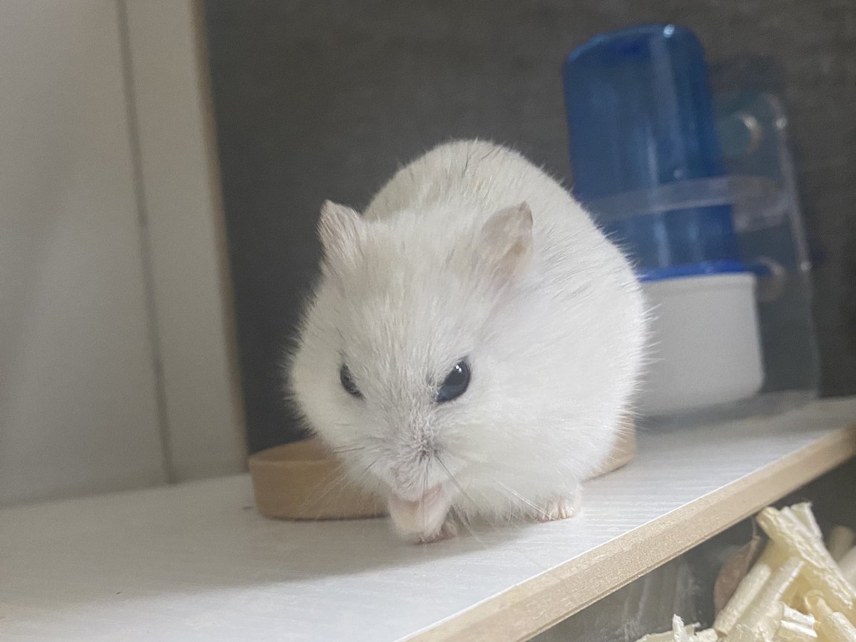 열심히 손닦는중