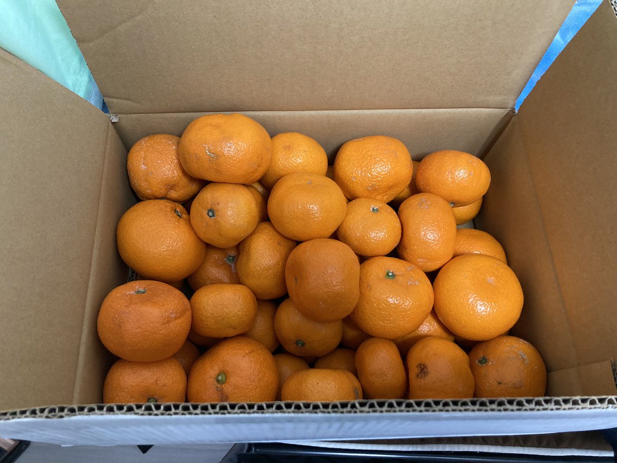 1日2個を2、3週間かけて食べます🍊