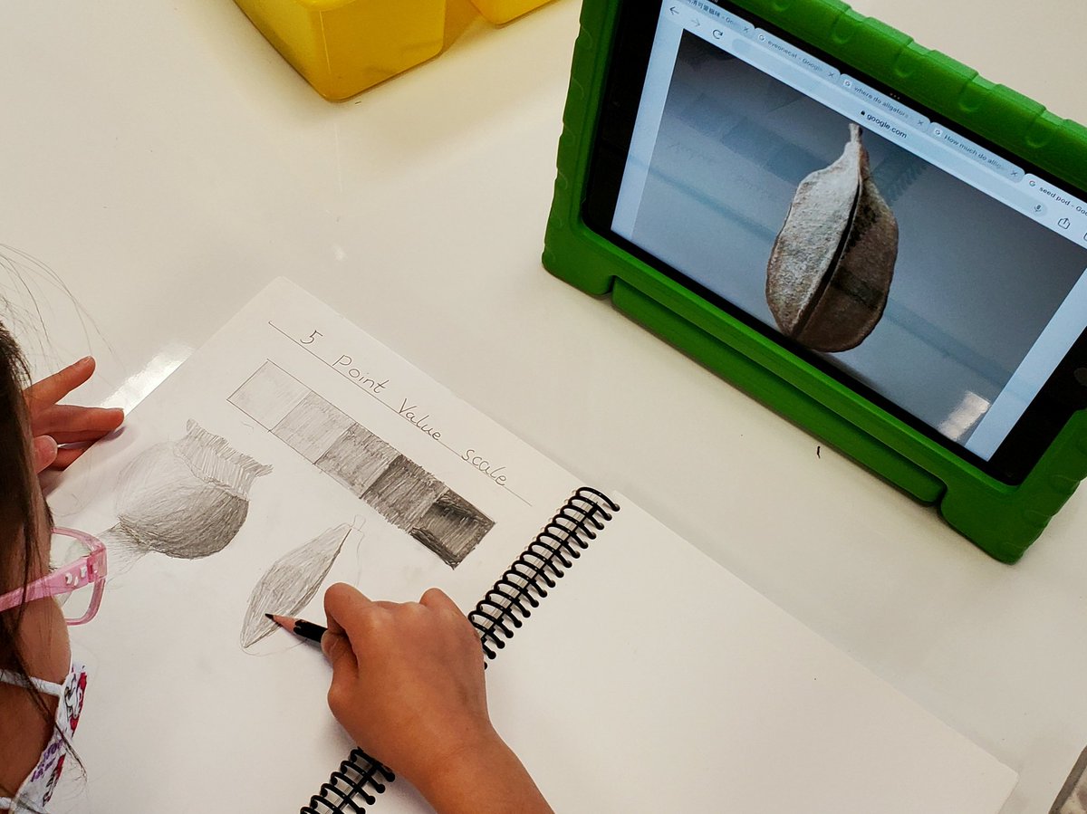 mlearning2010's tweet photo. 30sec rule to find an interesting seed pod to sketch showing 5 different values of grey. That's 30secs kids...NOT 30mins! 😆 #observationaldrawings #developingshadingskills #purposefuliPadresearch https://t.co/CKo4bfKxYW