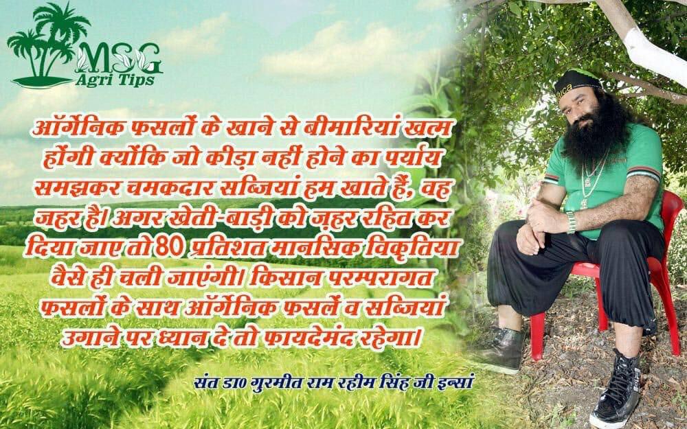 neeru_tinna's tweet image. जैविक खेती करने से वातावरण शुद्ध तो रहता है उसके साथ-साथ प्राप्त फसल से हम अनेक बीमारियों से भी बचे रह सकते हैं।संत डॉ @Gurmeetramrahim जी ने कल इंस्टाग्राम पर रील शेयर करके जैविक खेती करने के टिप्स दिए।जो बहुत लाभदायक है। #AdvancedFarming