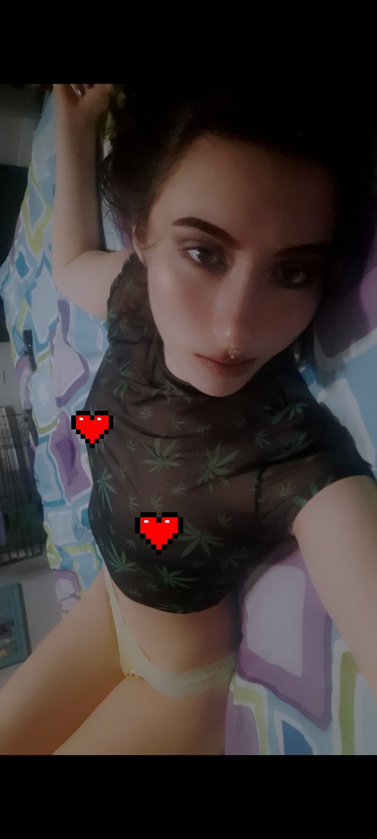 LovesBaily's tweet photo. So comfortable 🥰

#onlyfansbabe #onlyfanspromo #onlyfansmodel #onlyfansgirl #onlyfans #onlyfansvideo #content #contentcreator #contentcreators #sellingcontent #cutegirl

https://t.co/pMEyXQnnXy https://t.co/y74FH48MQ3