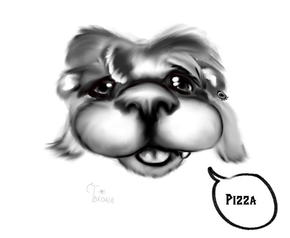 Pizza.

belongs to @Ariyi1018