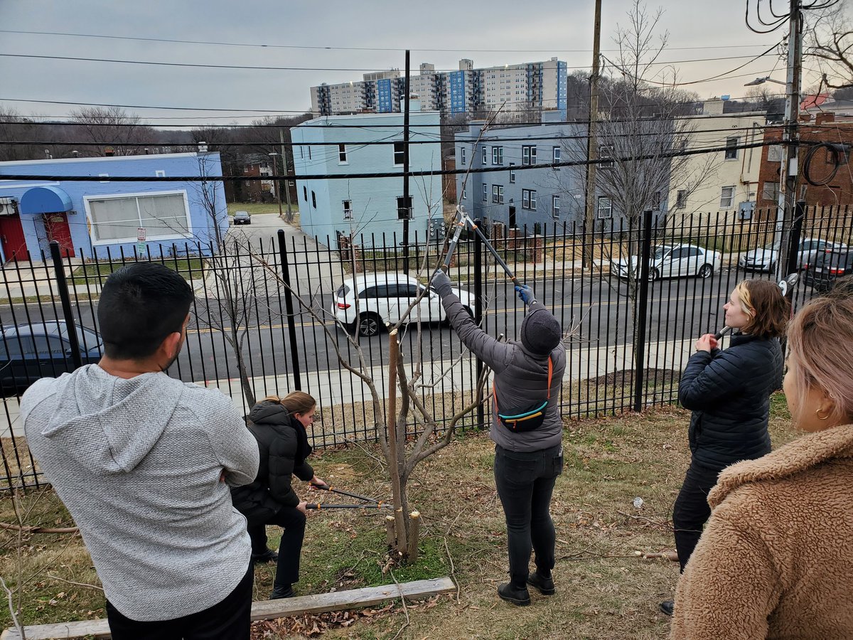 Ms. Baratta (@msbarattasclass) on Twitter photo Today, <a href="/HendleyES/">Hendley Elementary</a> Garden Team worked with <a href="/WashYouthGarden/">Wash Youth Garden</a> to do some routine maintenance work. We're so excited to continue preparing our garden for high quality STEM lessons moving forward! #STEM #outdoorlearning Today, <a href="/HendleyES/">Hendley Elementary</a> Garden Team worked with <a href="/WashYouthGarden/">Wash Youth Garden</a> to do some routine maintenance work. We're so excited to continue preparing our garden for high quality STEM lessons moving forward! #STEM #outdoorlearning