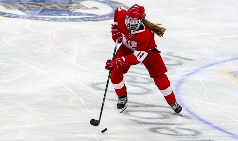 (1 of many) One ofthe most under-reported stories by MNhockey scribes is the pursuit of the girl's all-time goal & points records by Kamryn Van Batavia.

A couple of games ago KVB scored her 274th, passing Nicole Schammel (Red Wing) for 2nd place among the vaunted all-time ranks!