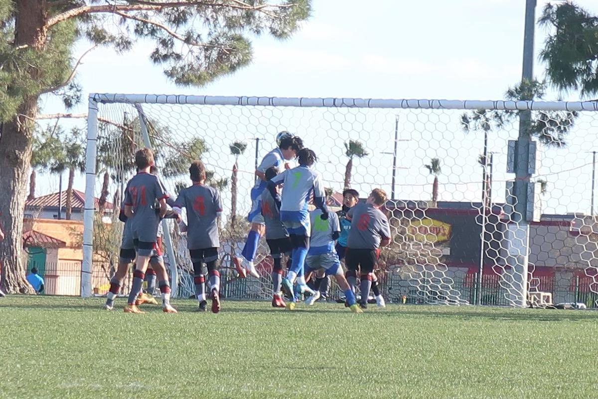 Lion'sDenFútbolClub tweet media