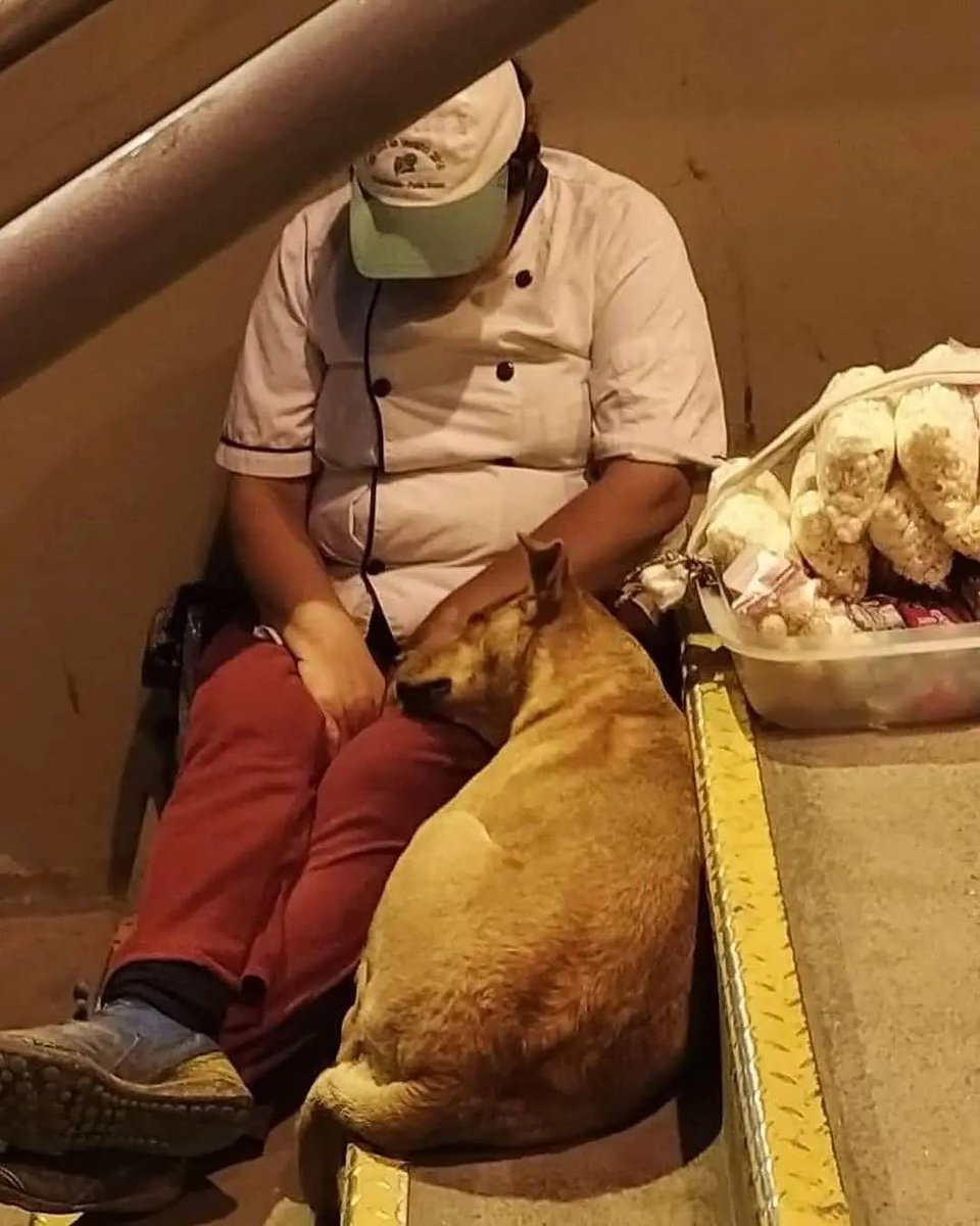 NecesitoUnPerro's tweet image. Dios bendiga a todos los humanos que le dan un poco de amor a los perritos...