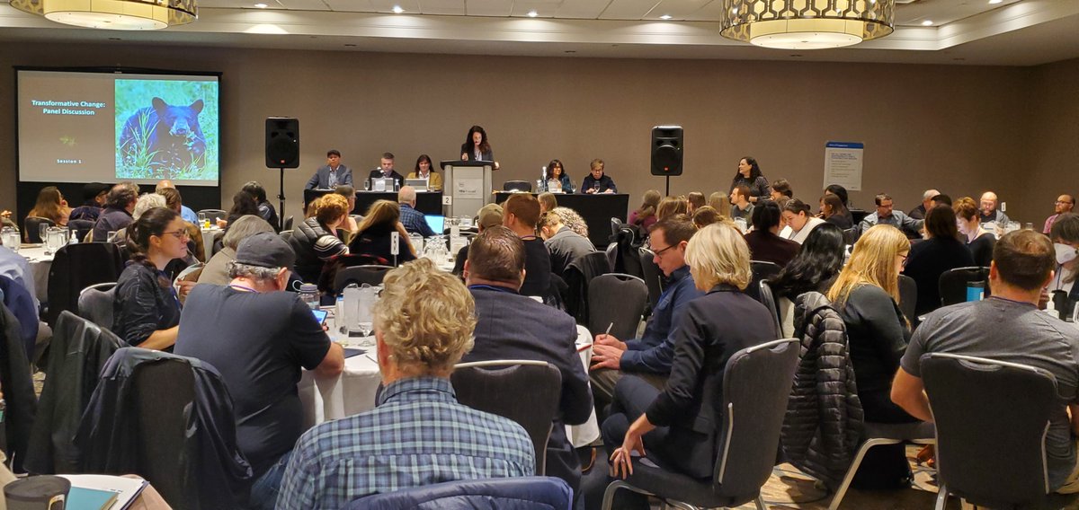 HoweSoundBRI's tweet photo. This week, we attended a two-day workshop to co-create a declaration for #OldGrowth. This workshop, hosted by Ministry of Water, Lands and Resource Stewardship, is part of the Old Growth Strategic Review and once the declaration is completed, it will apply to all sectors. 
🌲🌲 https://t.co/bCsRV1EEKP