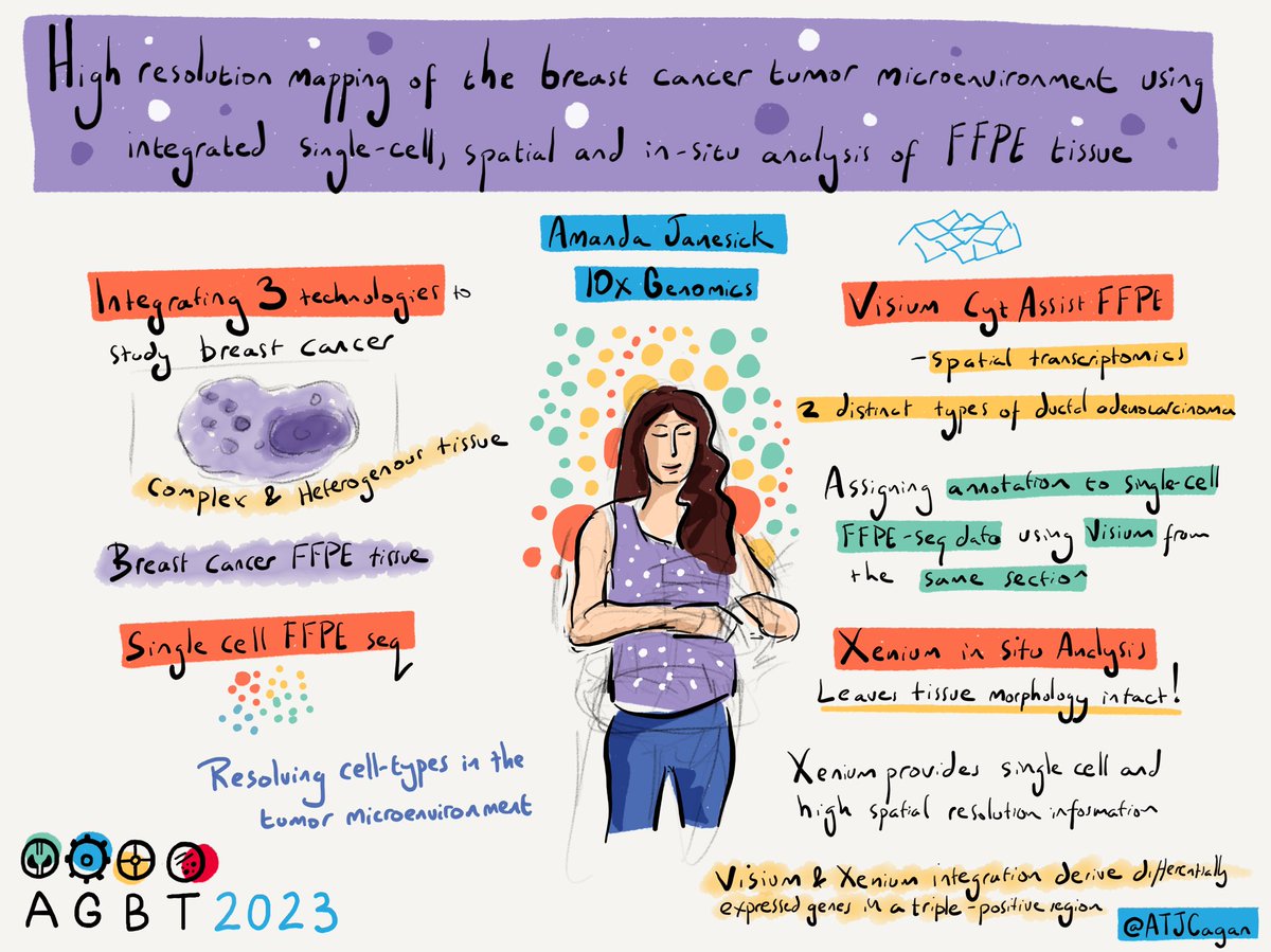 ATJCagan's tweet image. Amanda Janesick from @10xGenomics on high resolution mapping of the breast cancer tumor microenvironment using integrated single-cell, spatial and in-situ analysis of FFPE tissue #AGBT23