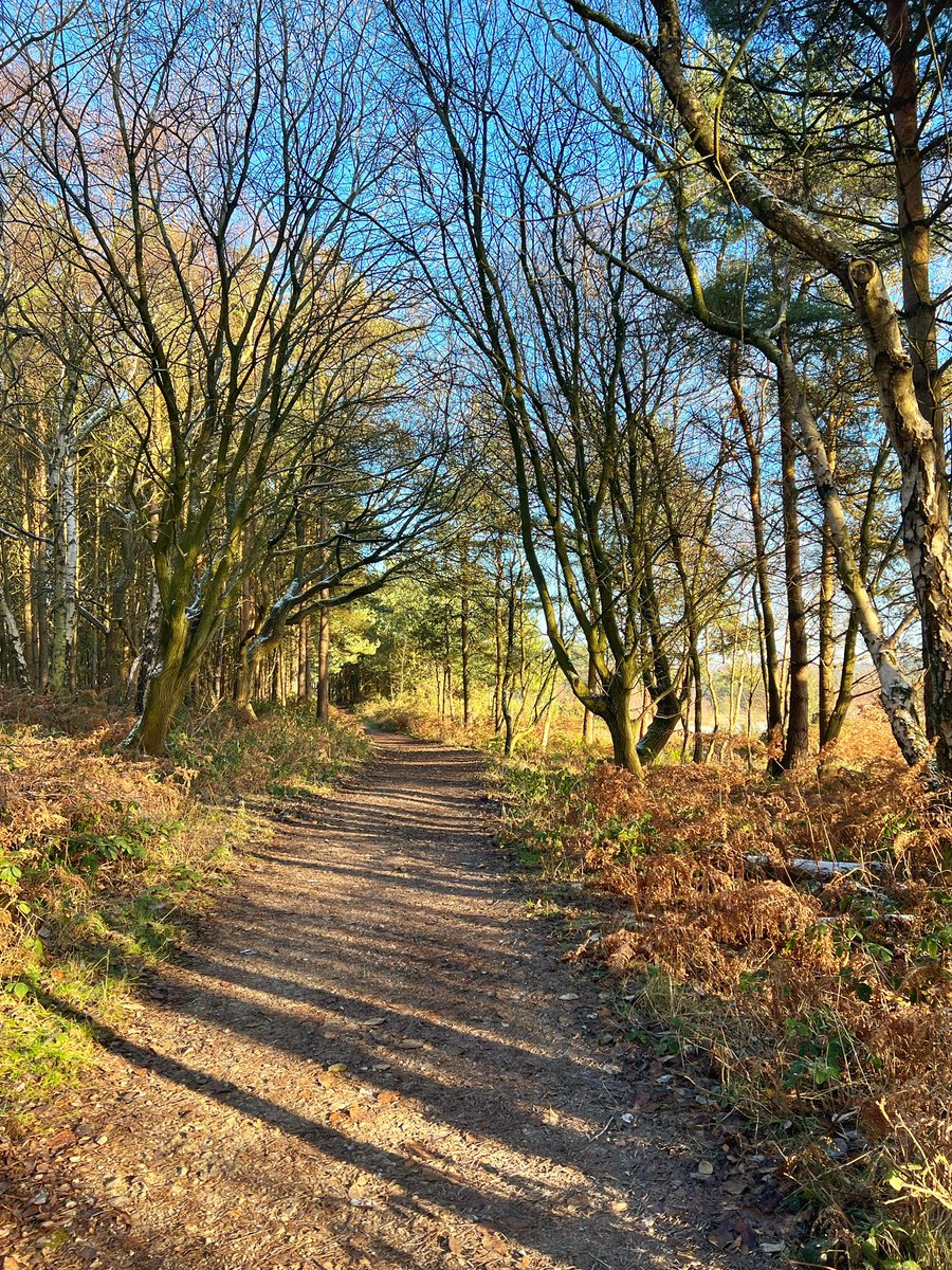 Cattan2011's tweet photo. Sutton Park #NaturePhotography #nature #travel #travelphotography #nationalpark #landscapephotography #landscape #winter #enjoystaffordshire #STAFFORDSHIRE #visitengland https://t.co/68rD49vLIk