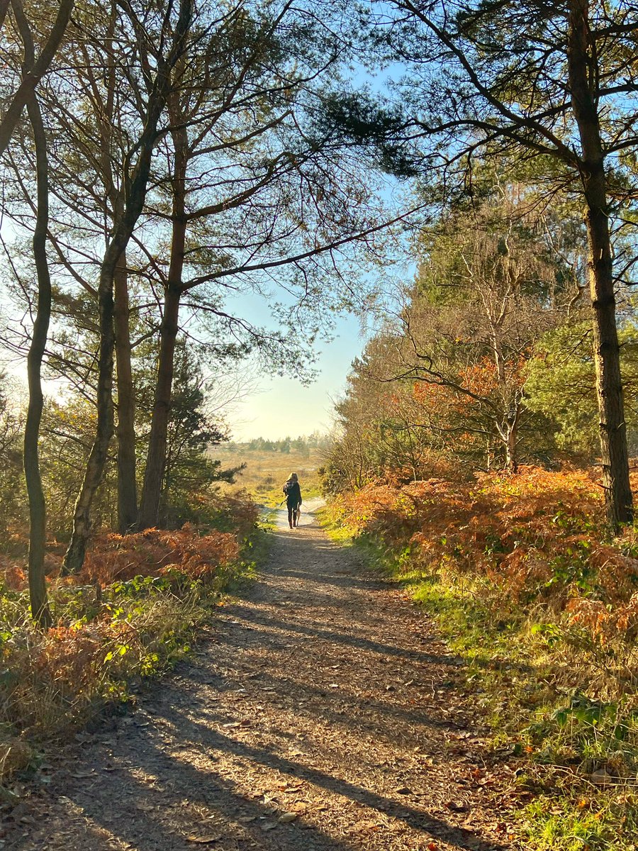 Cattan2011's tweet photo. Sutton Park #NaturePhotography #nature #travel #travelphotography #nationalpark #landscapephotography #landscape #winter #enjoystaffordshire #STAFFORDSHIRE #visitengland https://t.co/68rD49vLIk