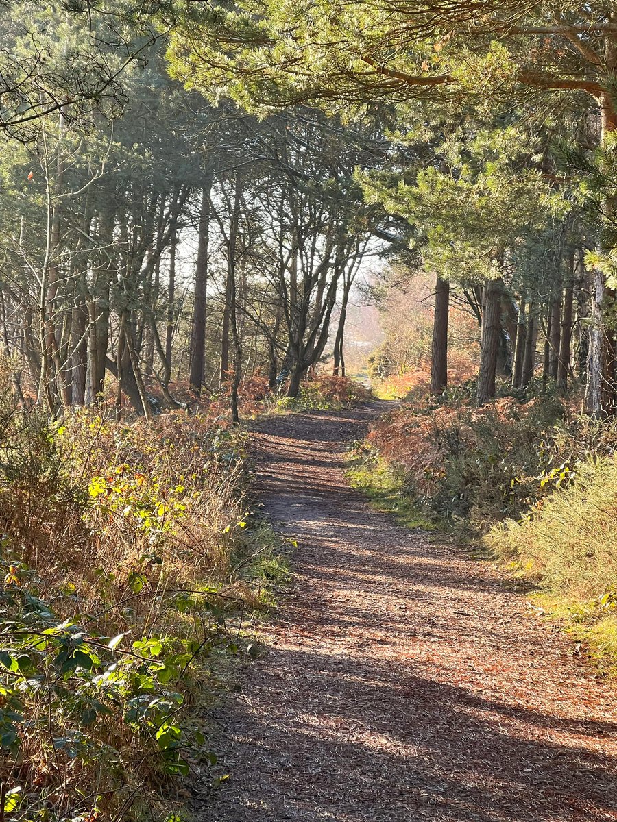 Cattan2011's tweet photo. Sutton Park #NaturePhotography #nature #travel #travelphotography #nationalpark #landscapephotography #landscape #winter #enjoystaffordshire #STAFFORDSHIRE #visitengland https://t.co/68rD49vLIk