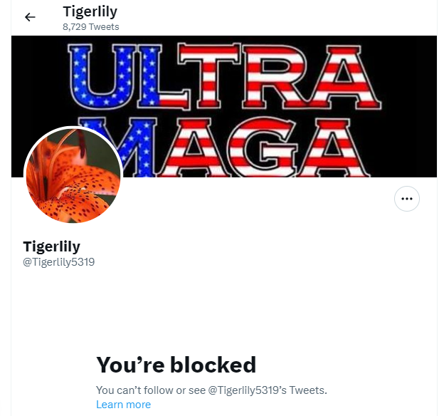 I'd like 2give a #SnowFlakeSalute 2 @TigerLily5319 

Yet another Twitter user whose beliefs R so insecure that any1 who asks questions has 2B BLOCKED

#FactsMatter whether U hide in your echo chamber or not

R U really this weak?