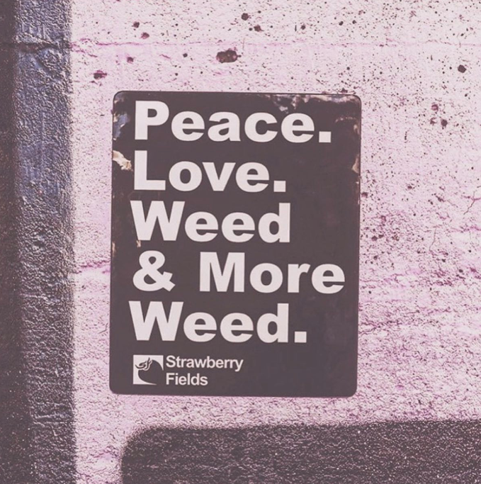 💚