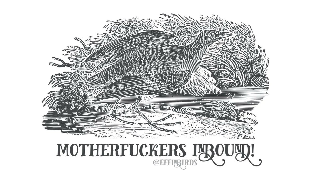 EffinBirds's tweet photo. https://t.co/FkA3Qjyhqz