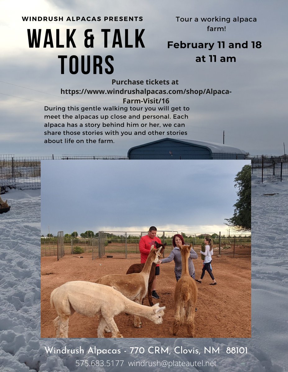 WindrushAlpacas's tweet photo. A popular activity at the farm, Walk and Talk tours allow you to get up close and personal with our herd. It's a fun family activity. We have two dates scheduled for February -the 11th and 18th
Hurry before we sell out!… https://t.co/RqIZjk5ELZ https://t.co/E1oQAKbbya