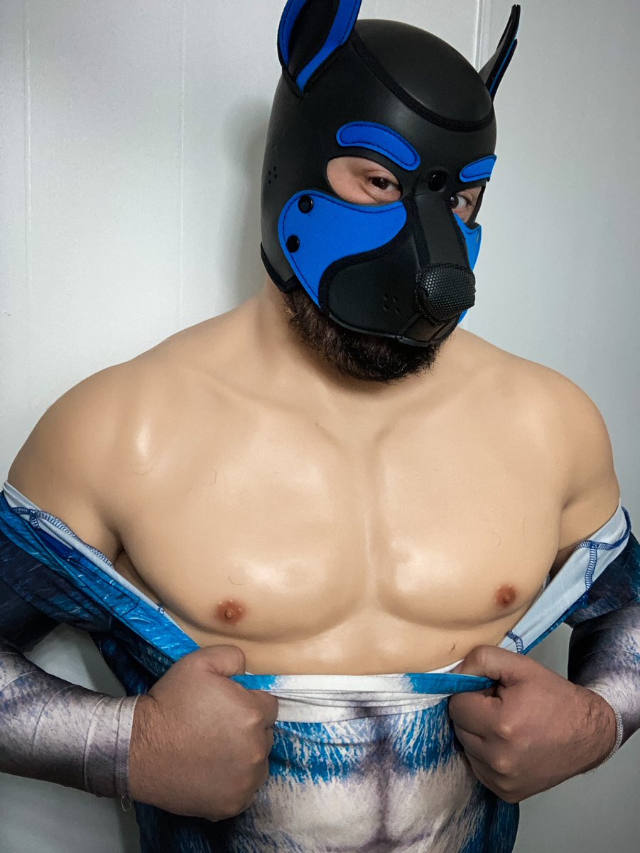 Smitizen's tweet photo. Do you wanna be pounced by this sexy puppy?
@gotnirvana
#smitizen #musclesuit #fakemuscles #fakeabs #mask #malemask #maskfetish #rubberfetish #transformation #secondskin #kinkygay #puppymask #puppyplay https://t.co/XHRlpniDjO