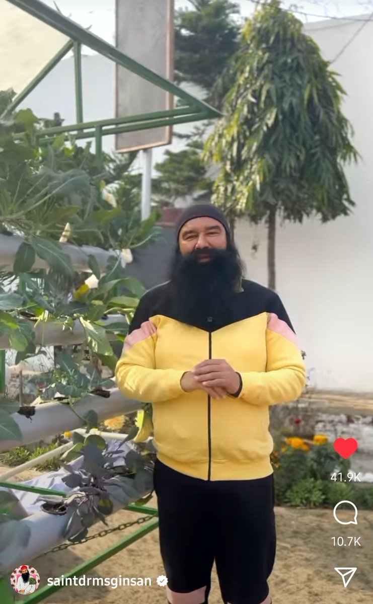 AmandeepKaurI19's tweet image. Saint Dr Gurmeet Ram Rahim Singh Ji Insan shared the innovative way of growing crops without the need of agricultural land and with minimal water. Through the tips given by Guruji, we can learn how to create a better environment.#AdvancedFarming #organicfarming