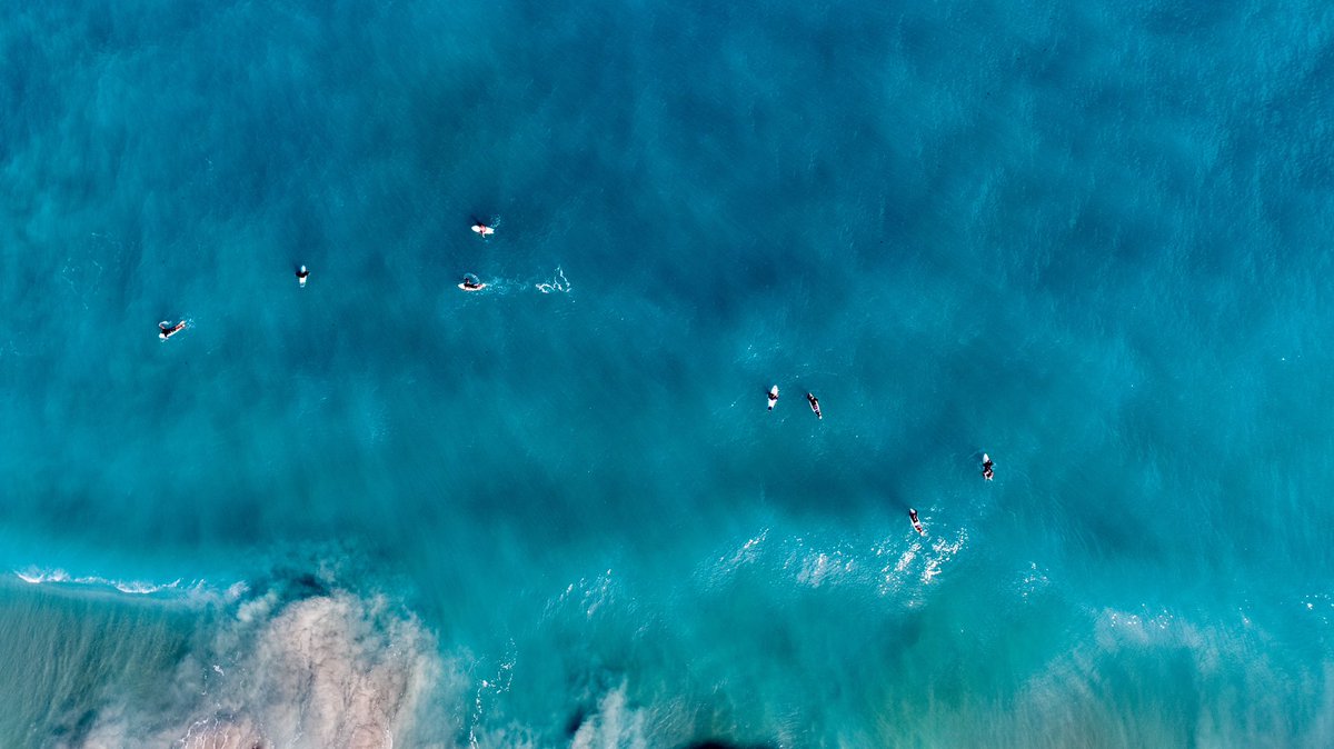 Lafitte Advisors tweet media