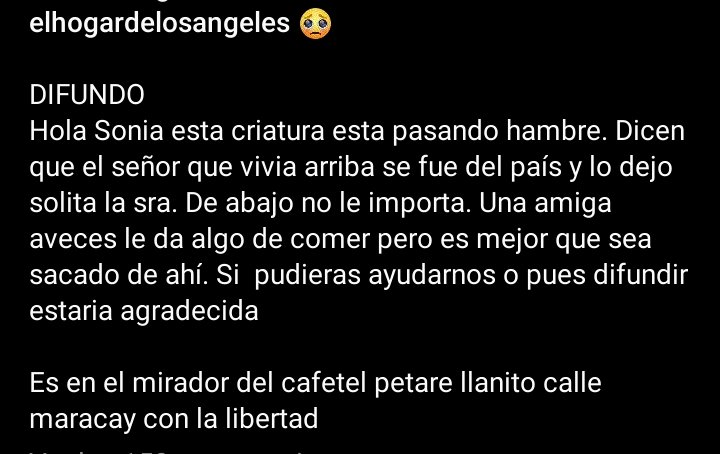 PerroUsuario's tweet photo. Reporta @Ma_Elisa_G: ¡AAUUXXIILIIOOO! NECESITA SER SACADO DE AHÍ, LO DEJARON EN PLATABANDA SOLO, HAMBRE, SED, ETC.  ¡INHUMANOS! #Petare #Caracas  @maigualidav

#Vzla https://t.co/LHmbAREVnw