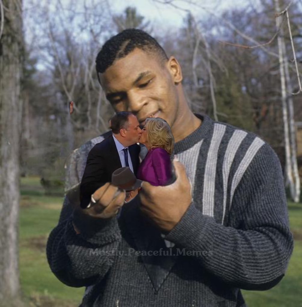 Mostly Peaceful Memes (@mostlypeacefull) on Twitter photo 