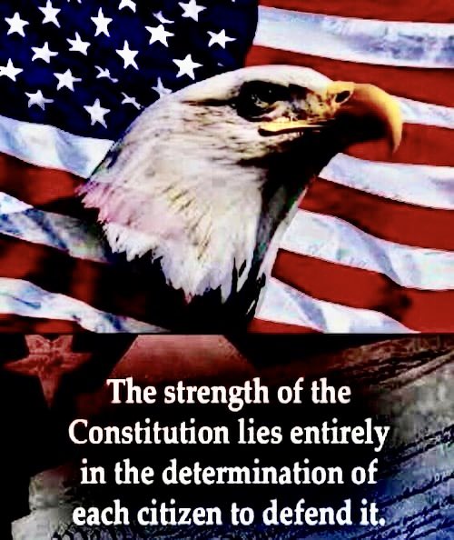 CO2 ISN’T A POLLUTANT FFS on Twitter "This is my problem. An election