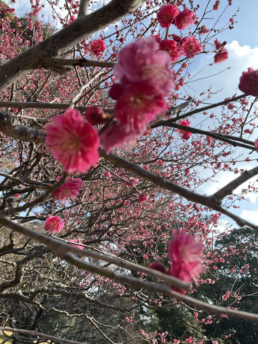 smithgaden8's tweet photo. あさんぽ
春がきそう https://t.co/v5P1bQNz14