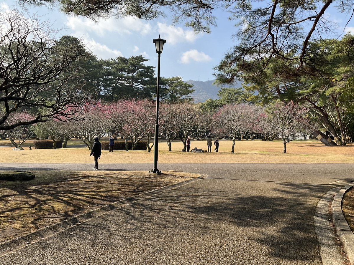 smithgaden8's tweet photo. あさんぽ
春がきそう https://t.co/v5P1bQNz14