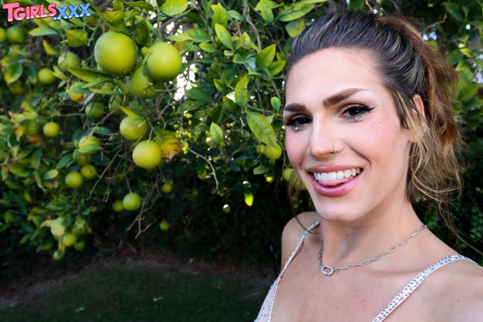 TW Pornstars - Top Tgirl Models🔞*140K* Hot Daily TS Girl Updates. The most retweeted pictures